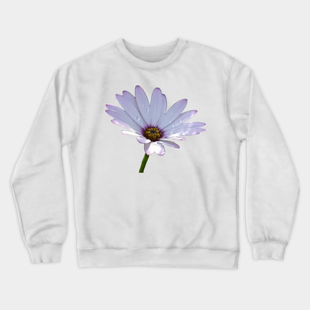 African Daisy Crewneck Sweatshirt by Shirasaya